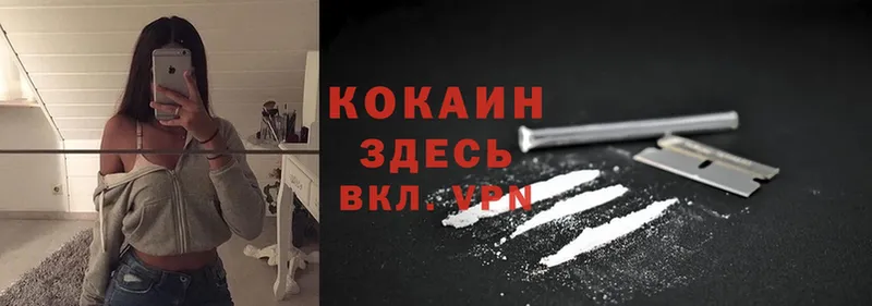 Cocaine 98%  сайты даркнета телеграм  Новоалтайск 